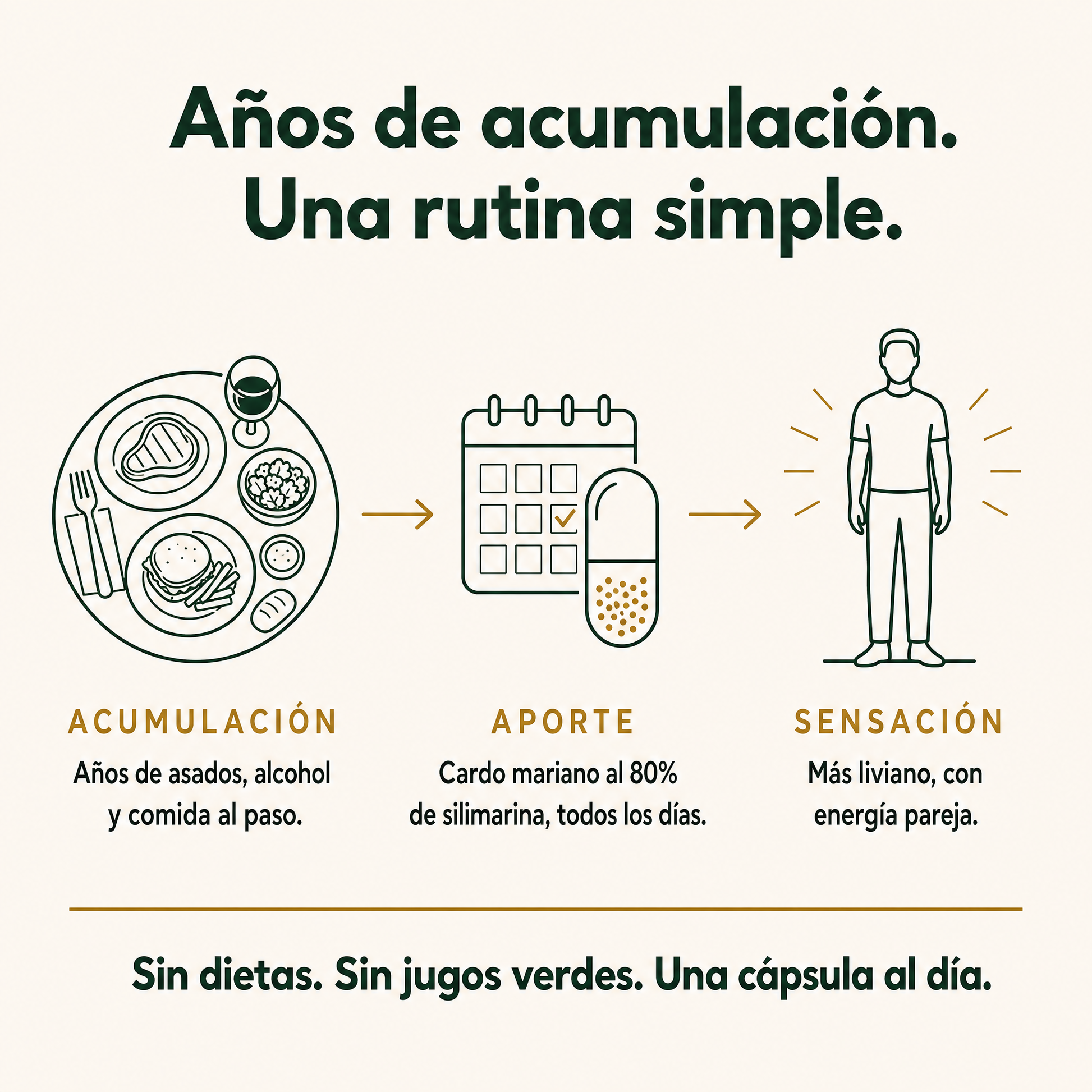 Años de acumulación, una rutina simple: acumulación, aporte y sensación